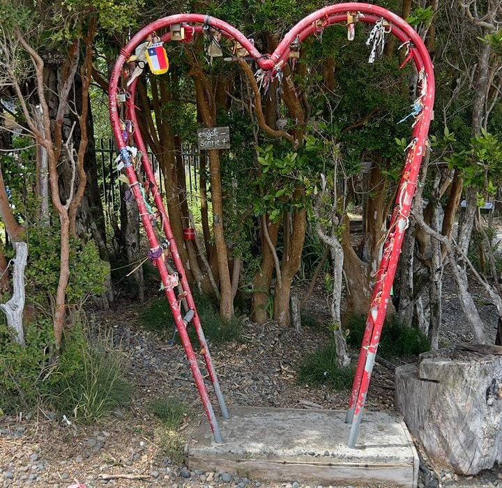 WhatsApp Image 2026-03-21 at 7.49.41 PM