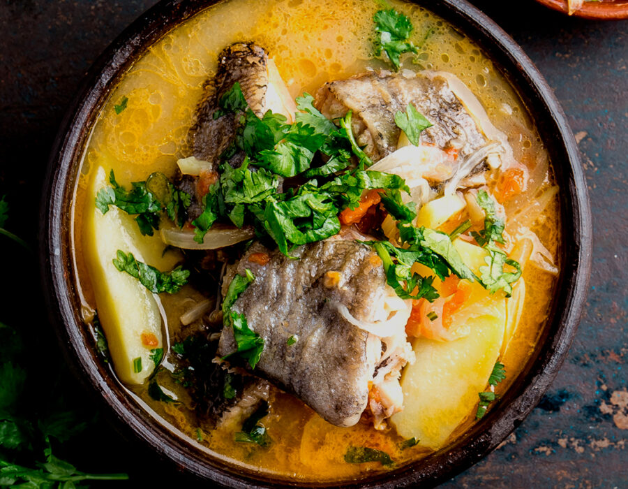 caldillo-congrio-magallanico