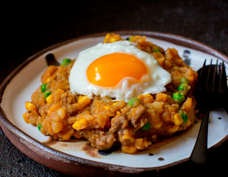 charquican-magallanico